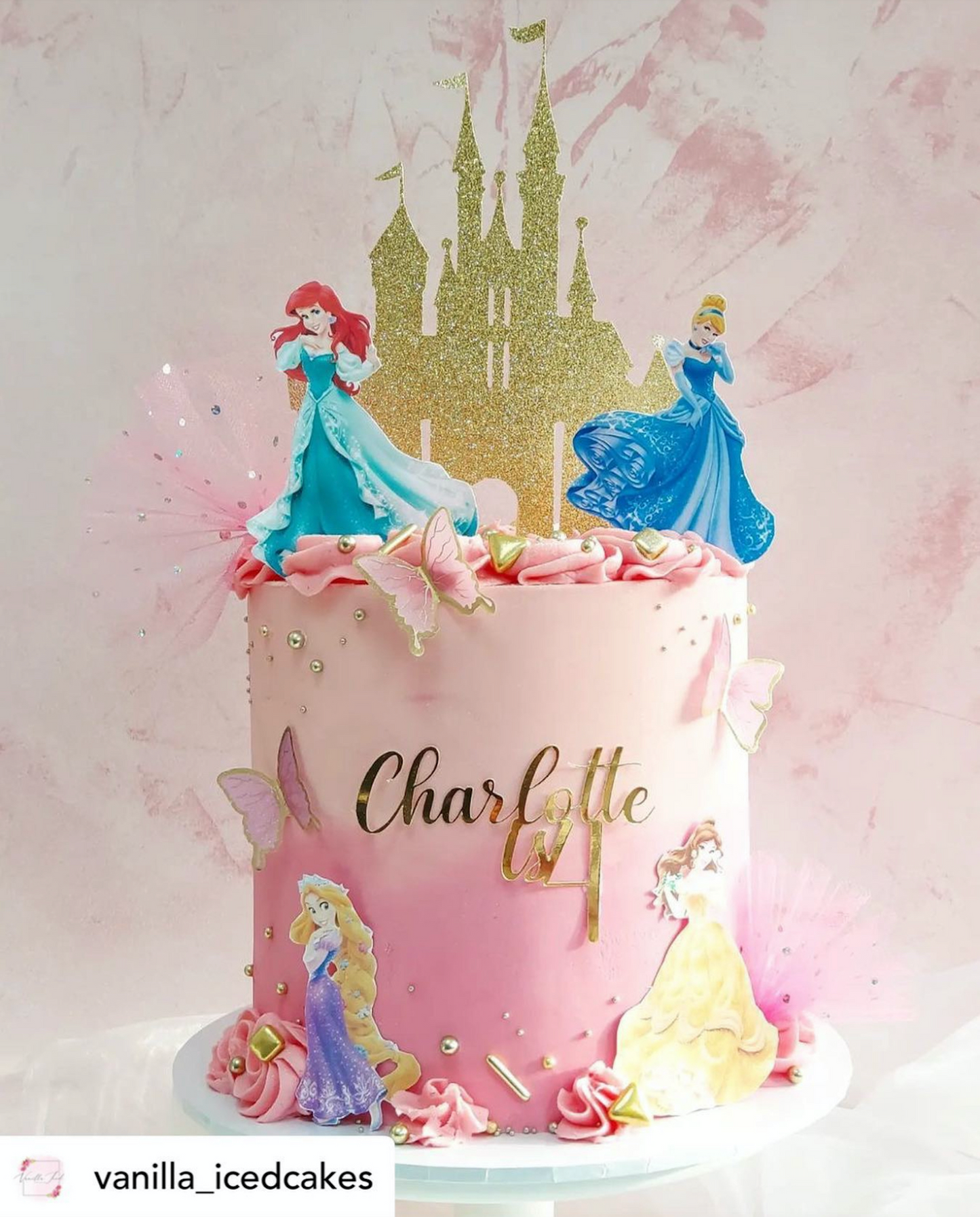 Princess Castle, Name/Age Charm & 4 Princesses