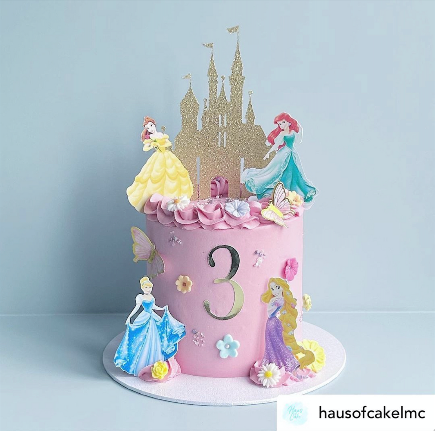 Princess Castle, Name/Age Charm & 4 Princesses